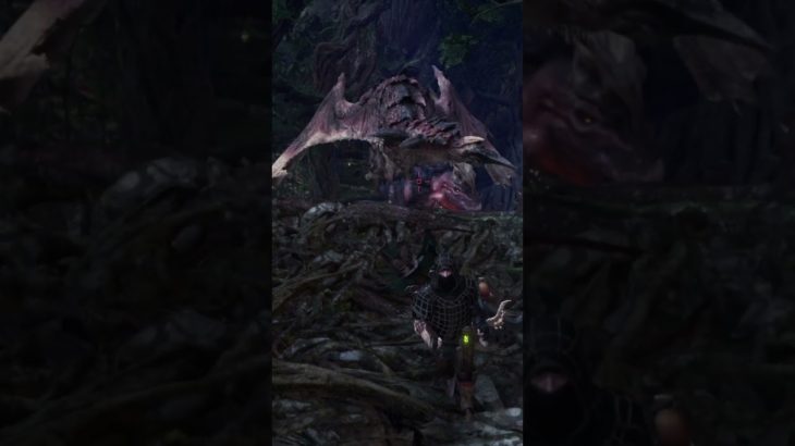 THIS IS WHEN YOU ENCOUNTER DINOSAUR FIGHTING OTHER DINOSAUR IN MHW KIDS【モンスターハンターワールド】
